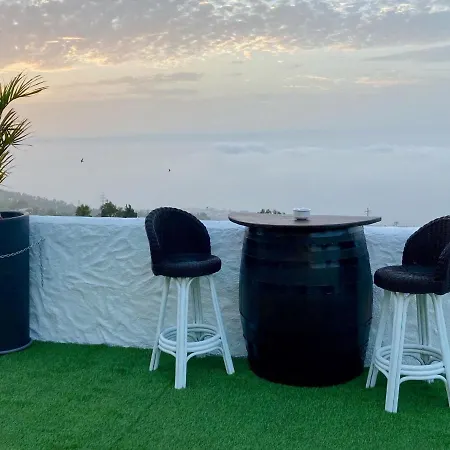 Finca De La Msica - Pop Icod De Los Vinos