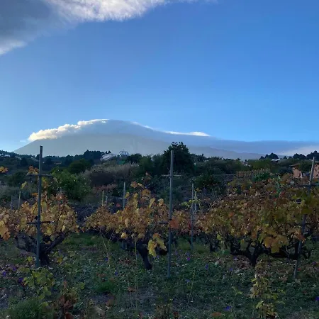 Finca De La Msica - Pop Lägenhet Icod De Los Vinos
